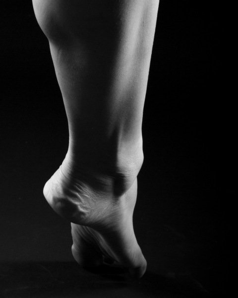 2016-12-31-Fox-Jane_5252-Edit