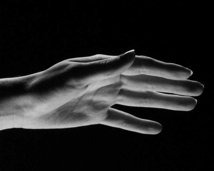 2016-12-31-Fox-Jane_5261